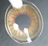 LensVery Vellica Brown